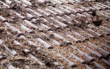 Crumplehorn roof cleaning companies